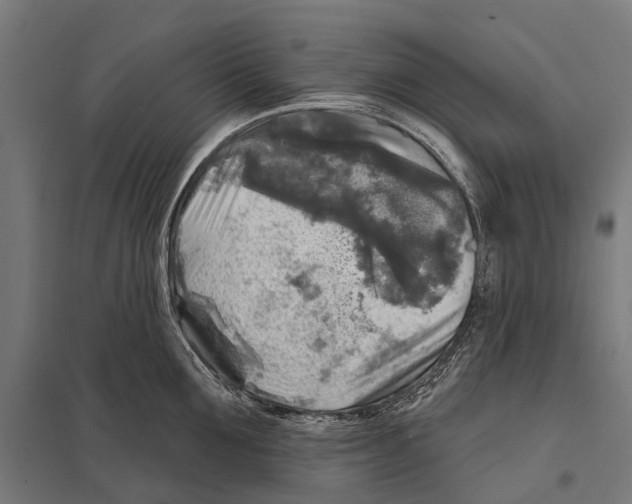 X0000097610907200803281011