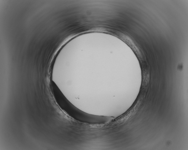 X0000097610908200803281011