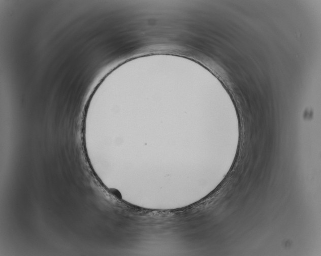 X0000097610912200803281011