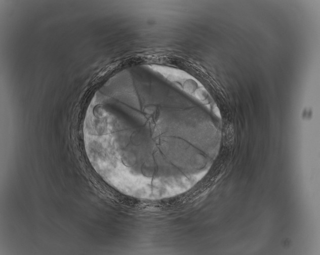 X0000097610913200803281010