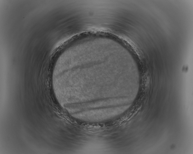 X0000097610919200803281010