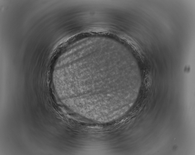 X0000097610920200803281010