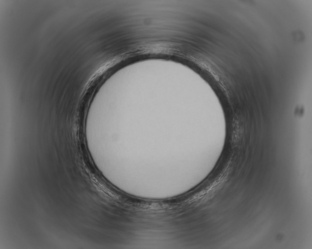 X0000097610922200803281010