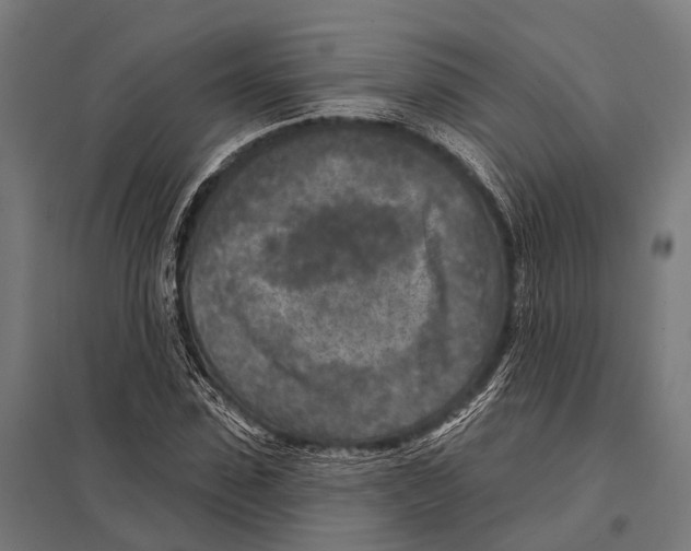 X0000097610923200803281010