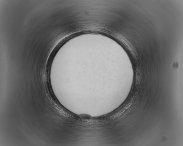 X0000097610924200803281010