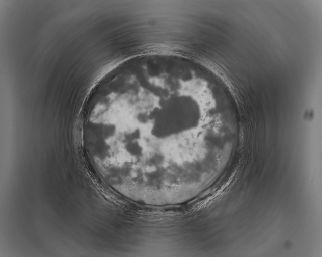 X0000097610925200803281010