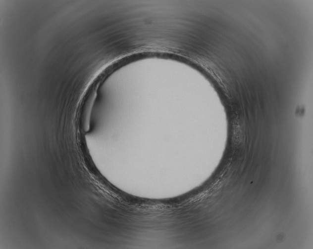 X0000097610926200803281010