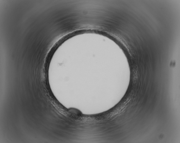 X0000097610927200803281010