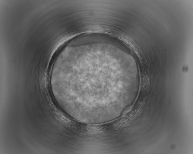 X0000097610928200803281010