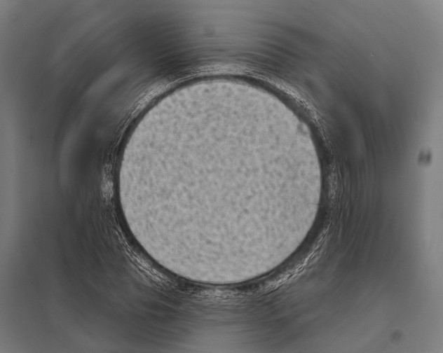 X0000097610929200803281010