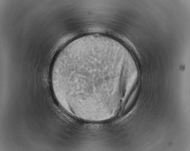 X0000097610930200803281010