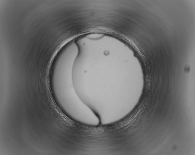 X0000097610931200803281010