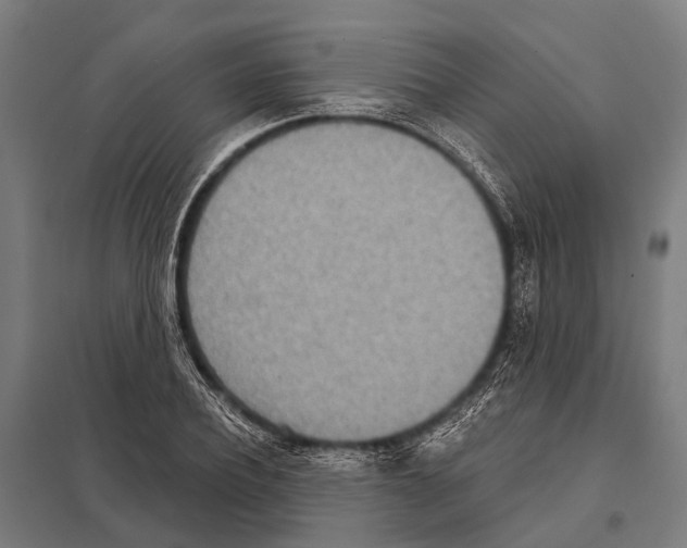 X0000097610932200803281010