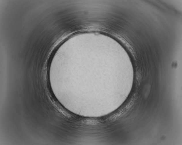 X0000097610933200803281010