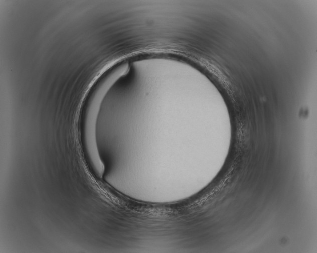 X0000097610934200803281010