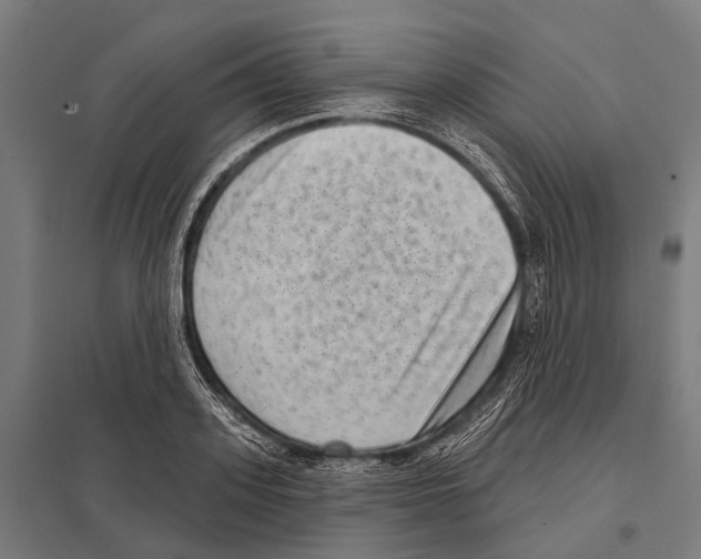 X0000097610939200803281010