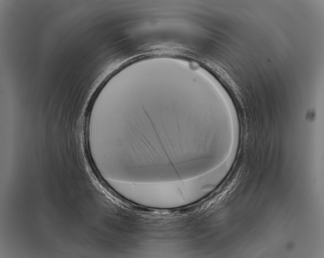 X0000097610941200803281010