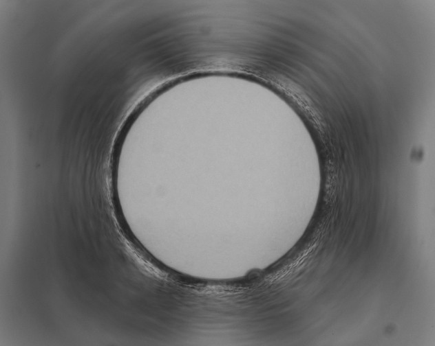 X0000097610942200803281010