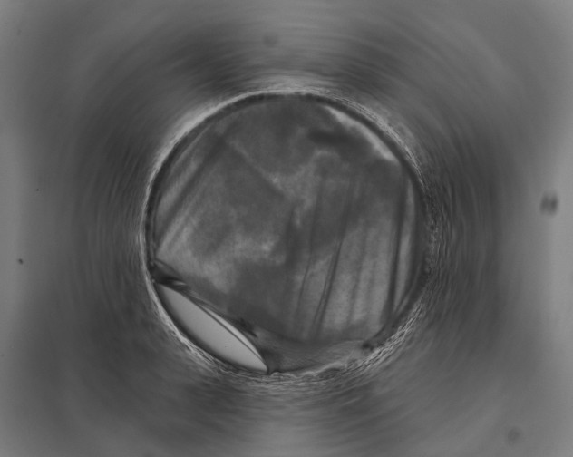 X0000097610943200803281010