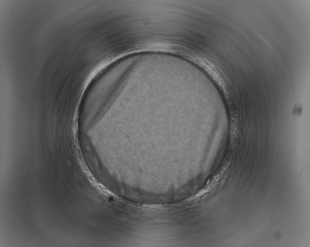 X0000097610944200803281010