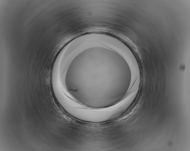 X0000097610945200803281011