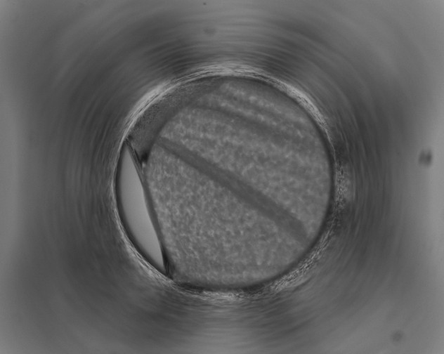 X0000097610946200803281011