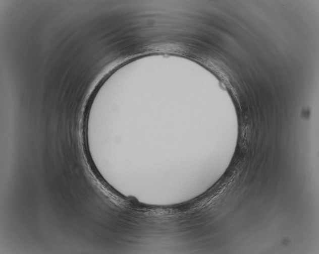 X0000097610947200803281011