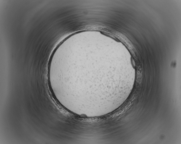 X0000097610948200803281011