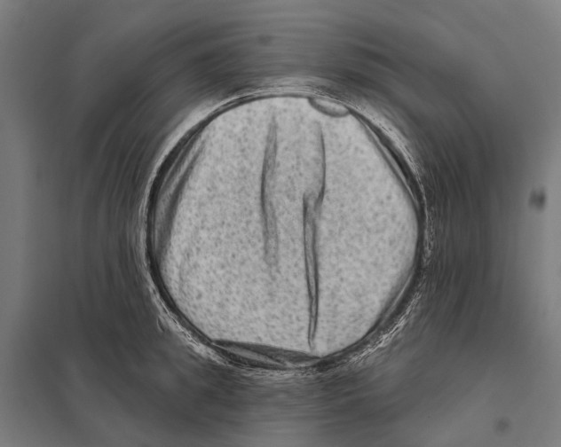 X0000097610949200803281011