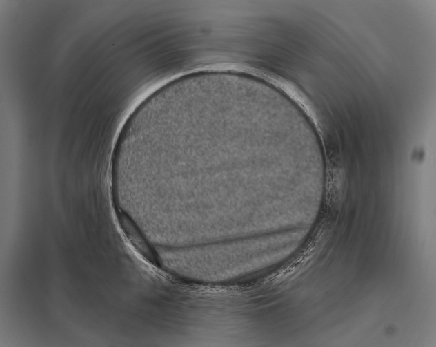 X0000097610951200803281011