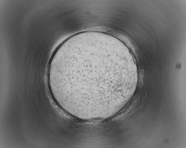 X0000097610952200803281011