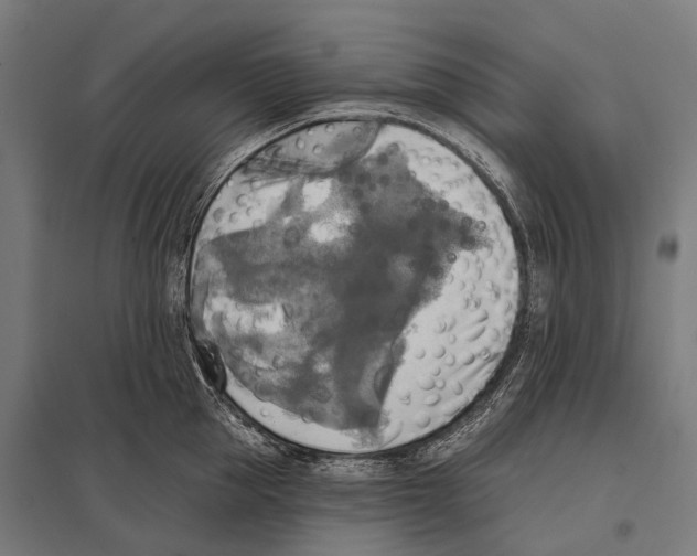 X0000097610953200803281011