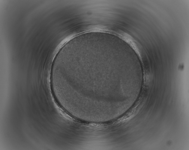 X0000097610954200803281011