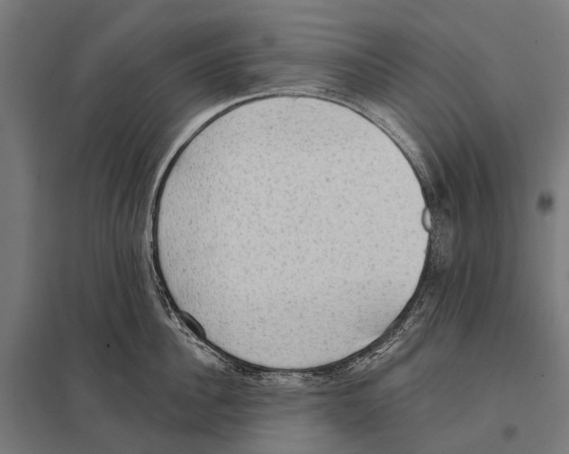 X0000097610956200803281011