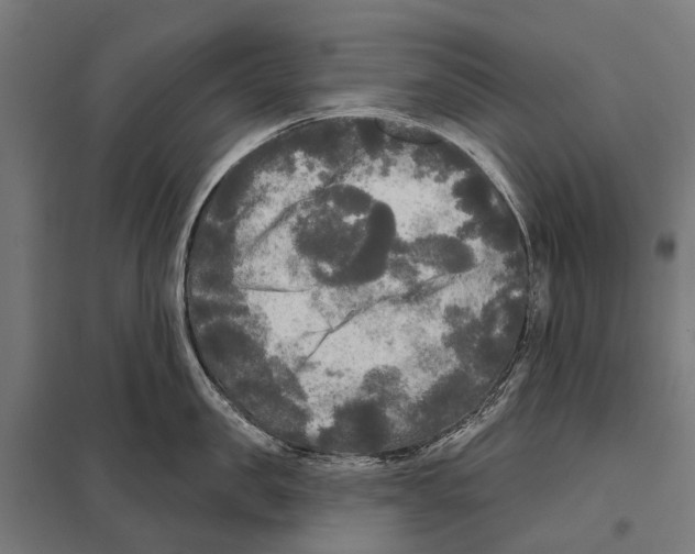 X0000097610957200803281011