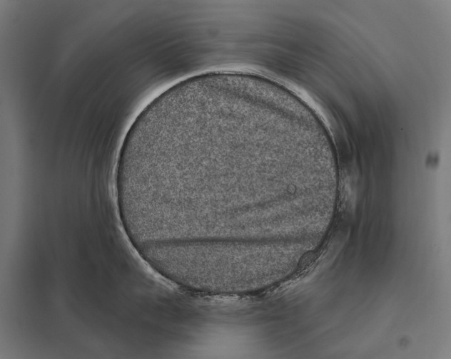 X0000097610959200803281011