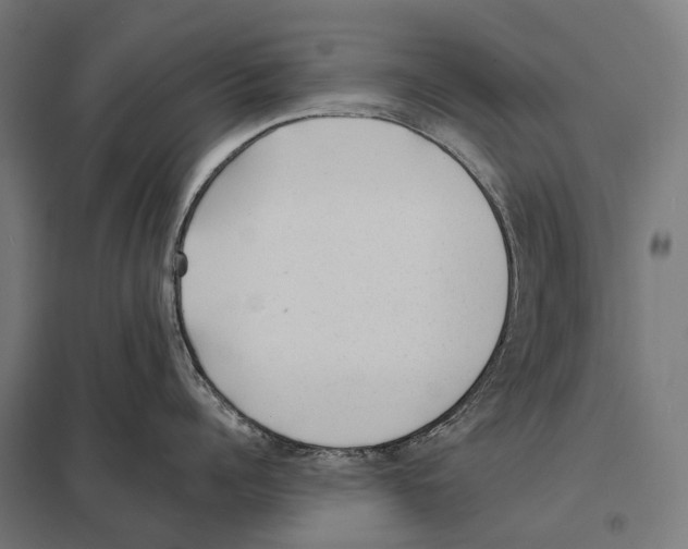 X0000097610960200803281011