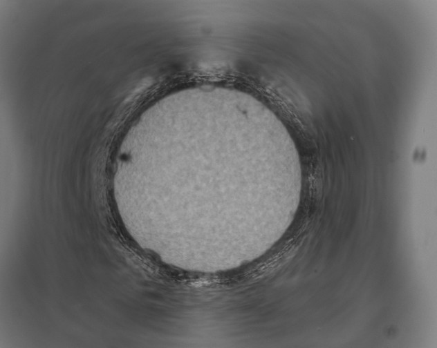 X0000097610961200803281010