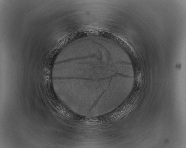 X0000097610964200803281010