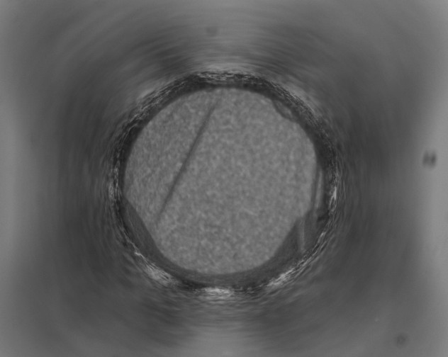 X0000097610965200803281010