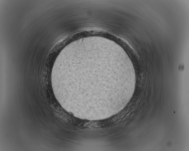 X0000097610967200803281010