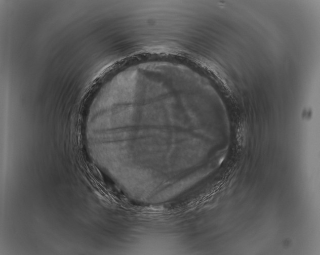 X0000097610968200803281010