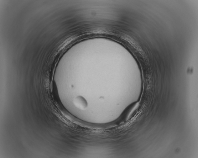 X0000097610969200803281010