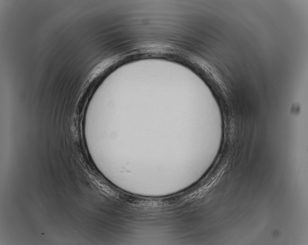 X0000097610970200803281010