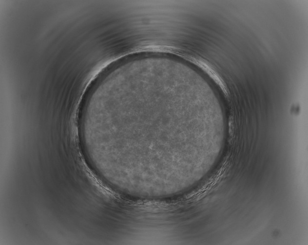 X0000097610972200803281010