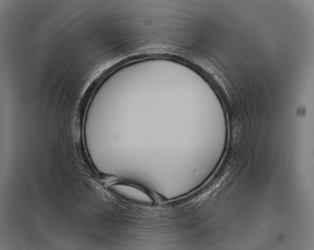 X0000097610973200803281010