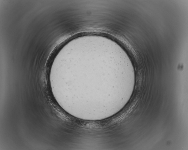 X0000097610974200803281010