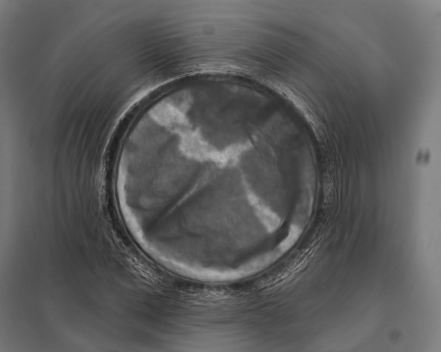 X0000097610975200803281010