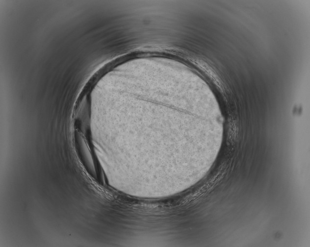 X0000097610976200803281010