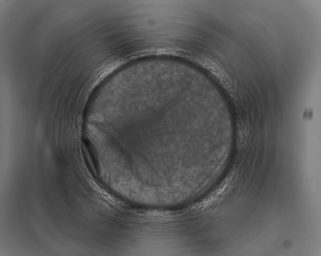 X0000097610977200803281010